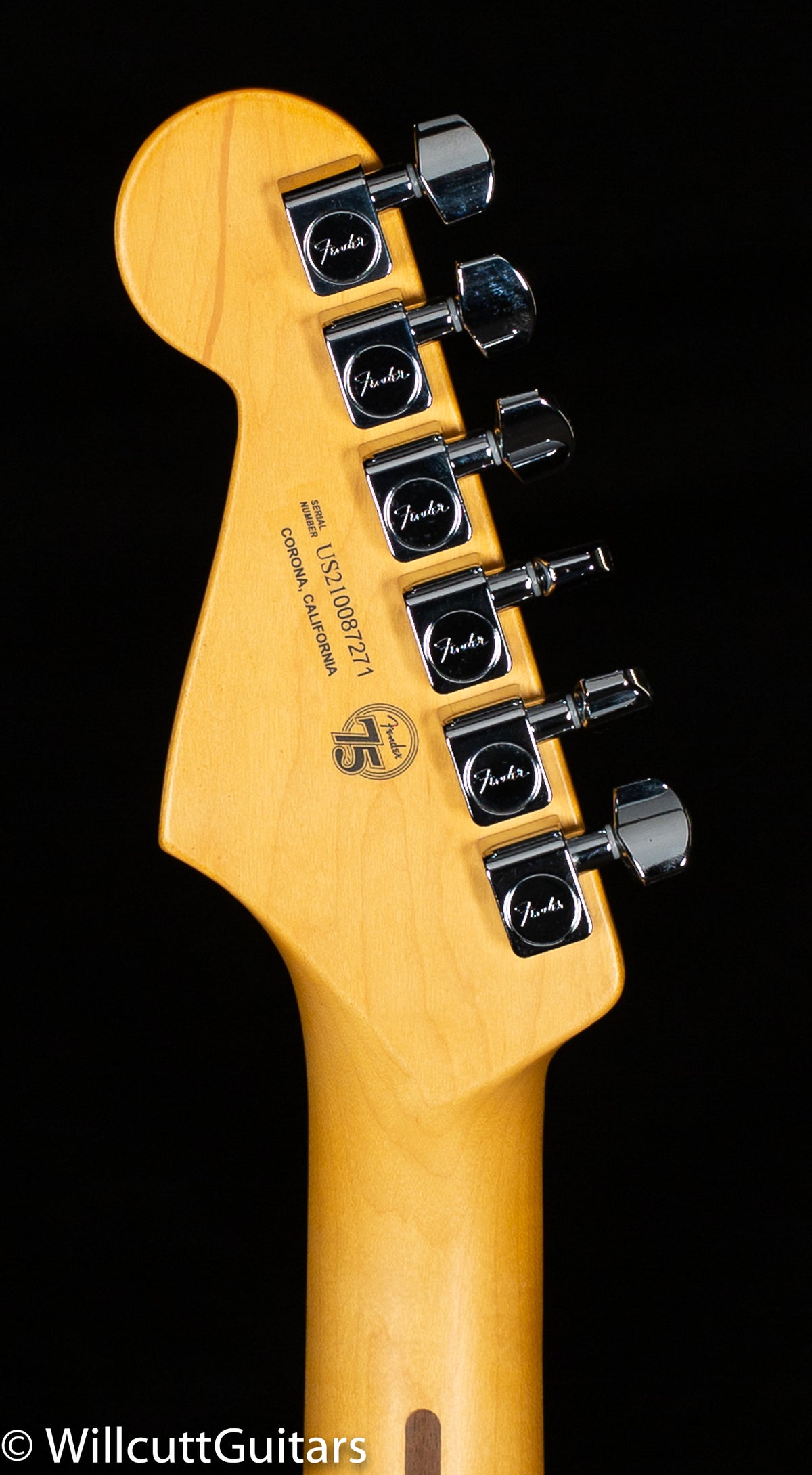 Fender American Professional II Stratocaster Roasted Pine Maple Fingerboard (271)