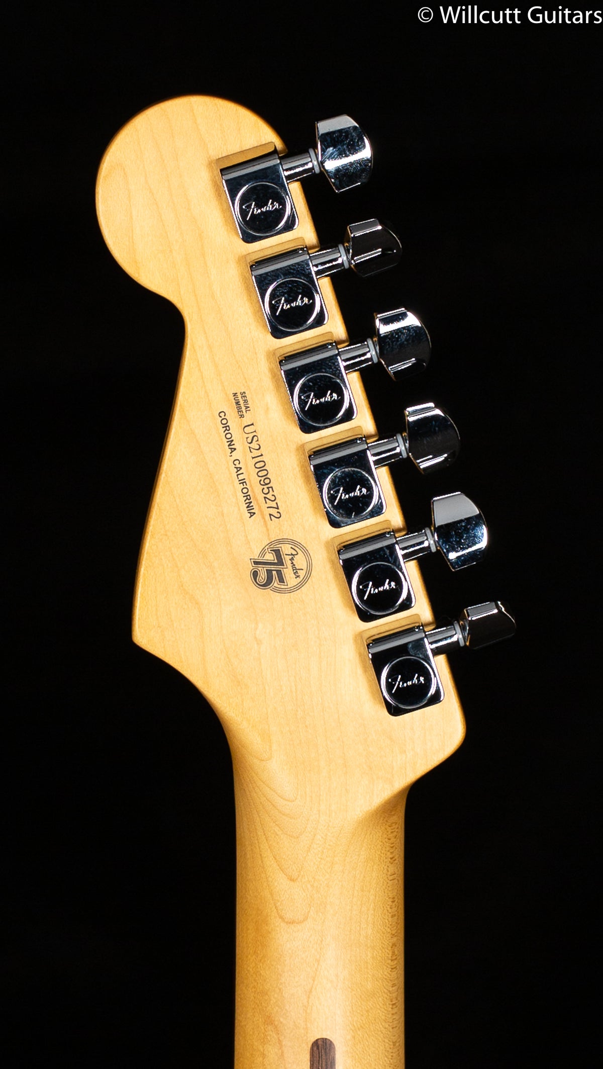 Fender American Professional II Stratocaster Dark Night Rosewood (272)