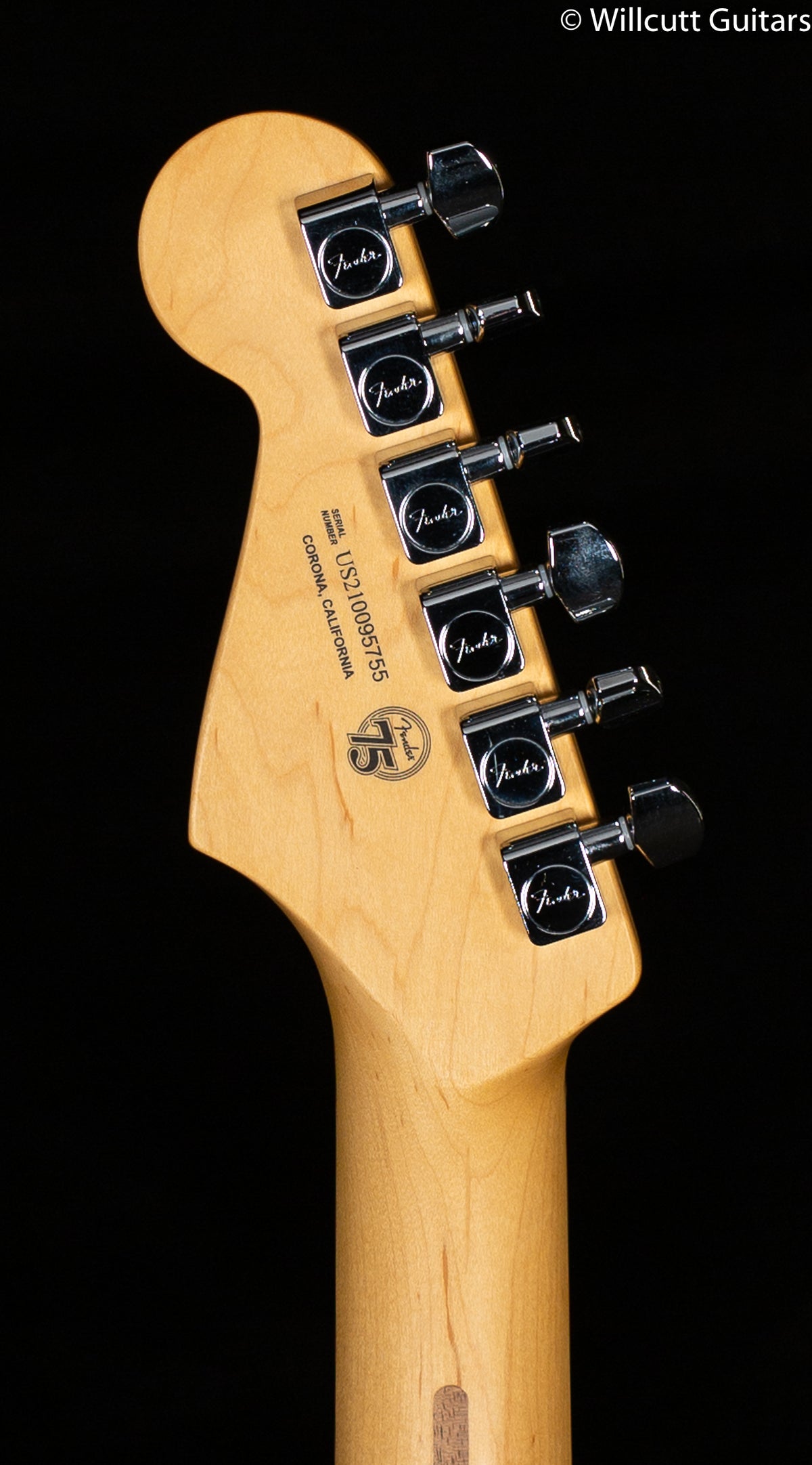 Fender American Professional II Stratocaster Black Maple Fingerboard (755)