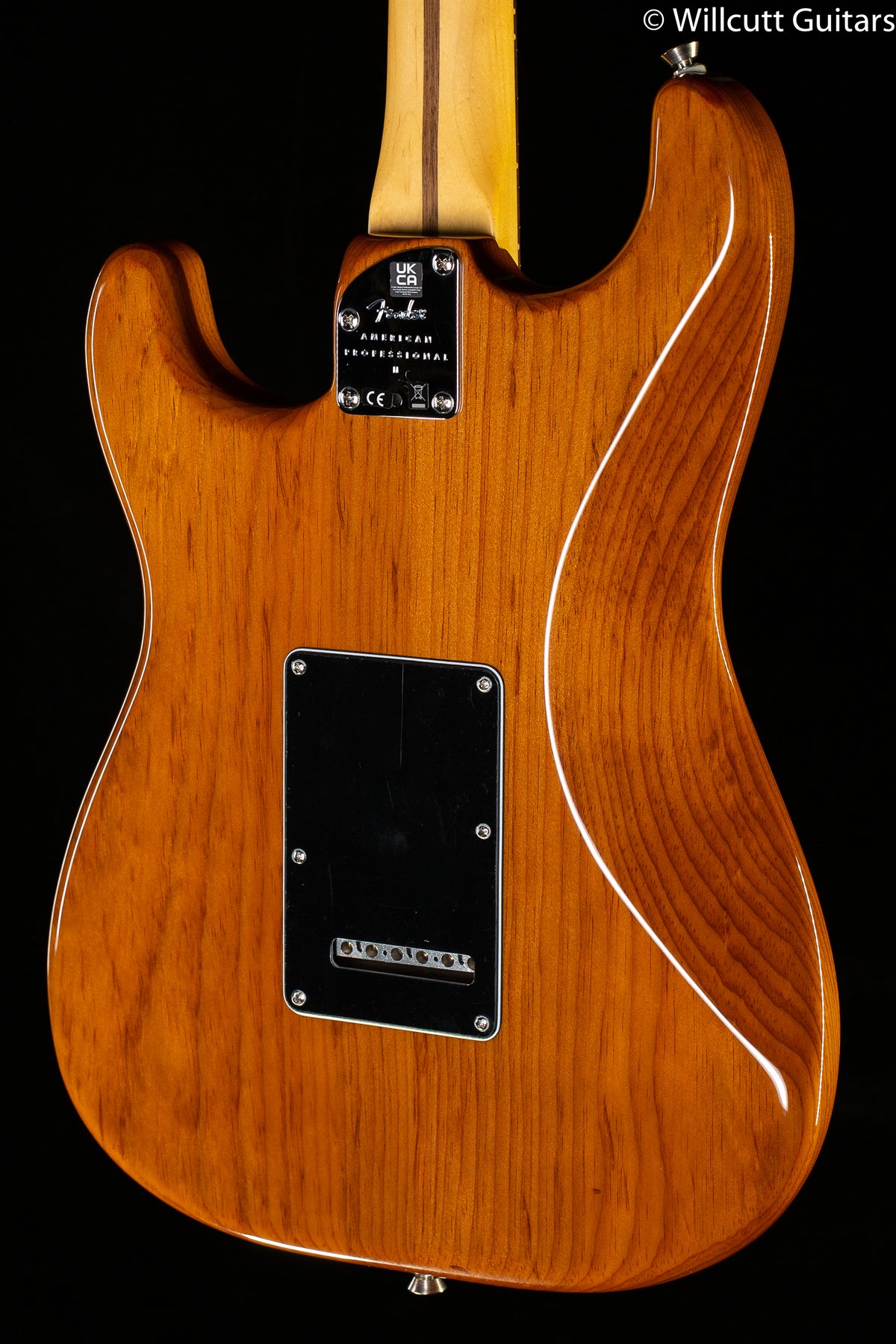 Fender American Professional II Stratocaster Roasted Pine Rosewood Fingerboard (803)