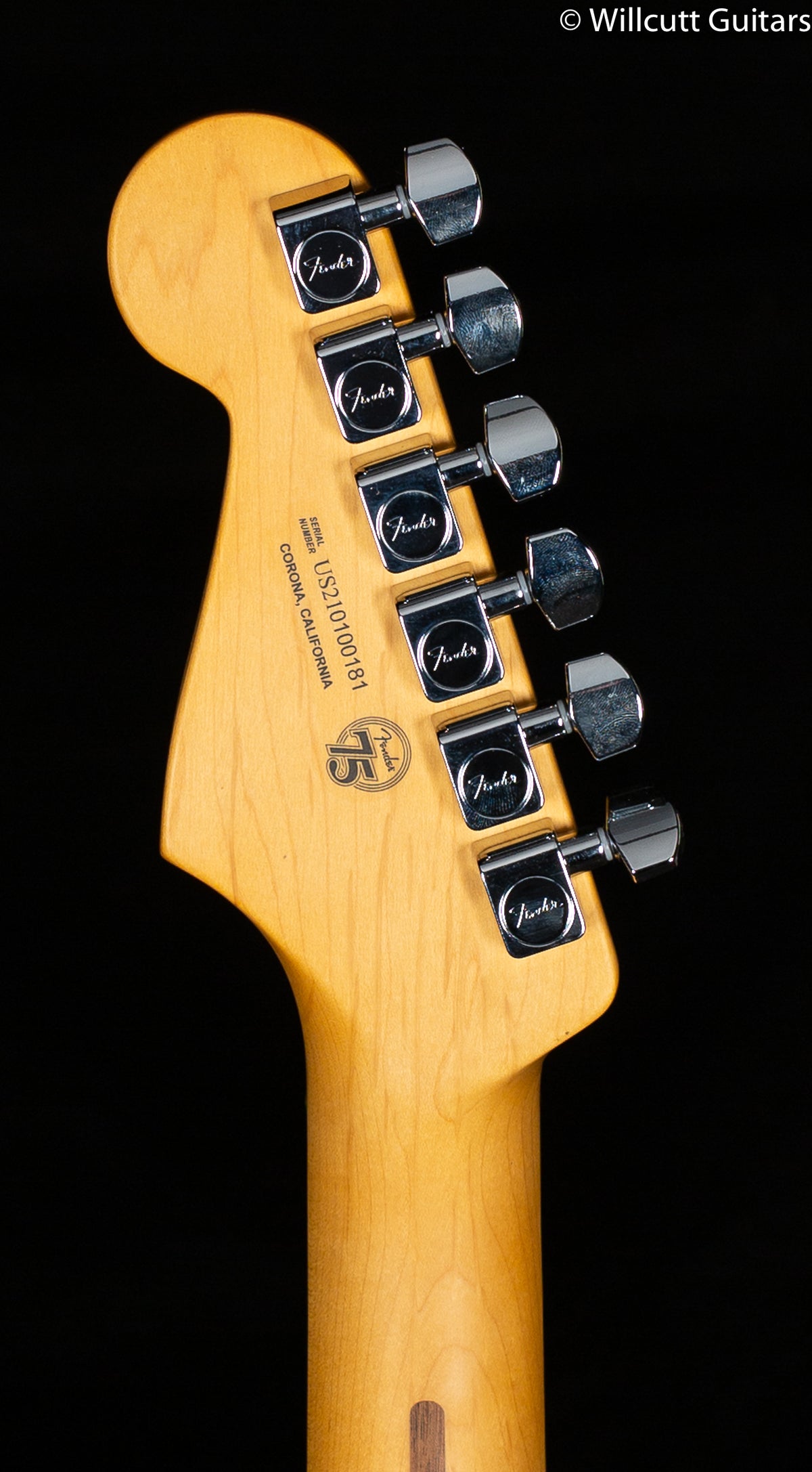 Fender American Professional II Stratocaster Miami Blue Rosewood Fingerboard (181)