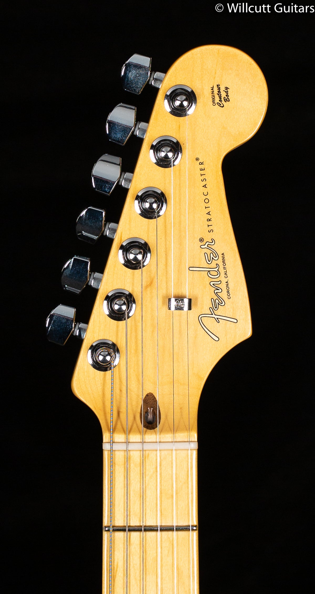 Fender American Professional II Stratocaster Roasted Pine Maple Fingerboard (374)