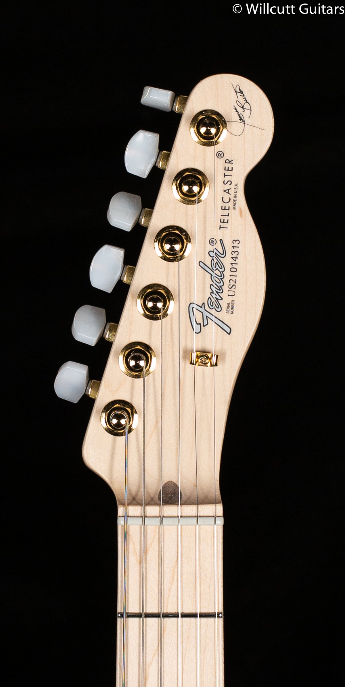 Fender James Burton Telecaster Blue Paisley Flames