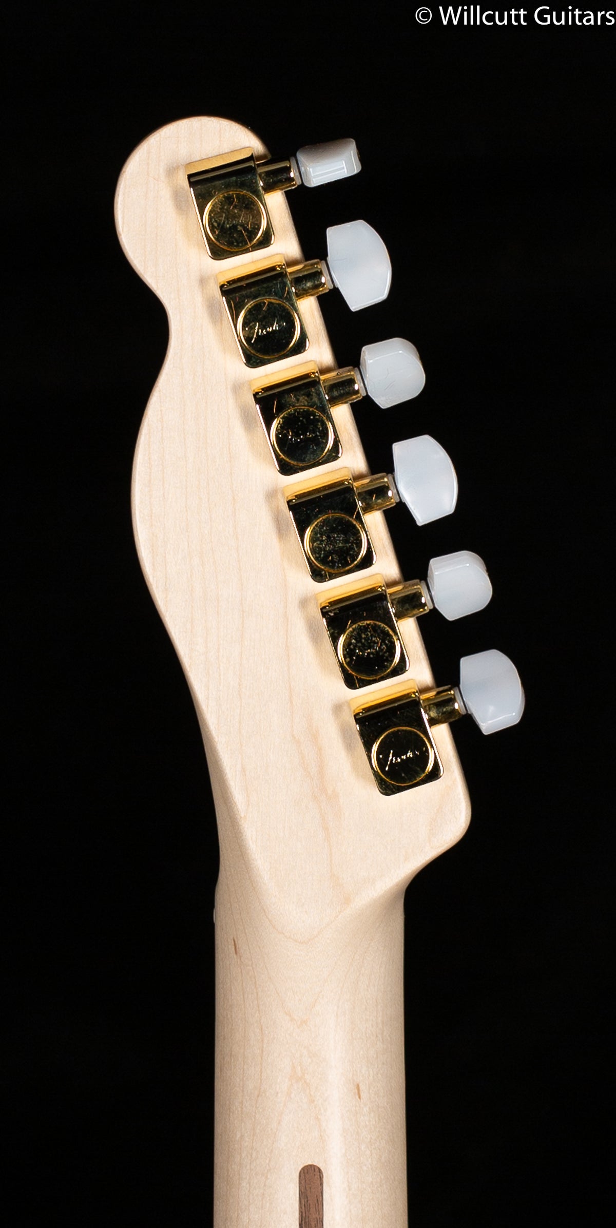 Fender James Burton Telecaster Blue Paisley Flames