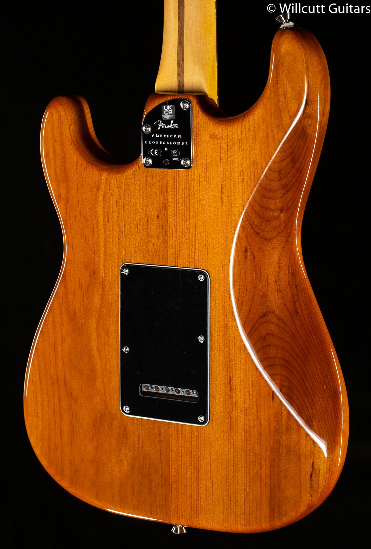 Fender American Professional II Stratocaster Roasted Pine Rosewood Fingerboard (464)