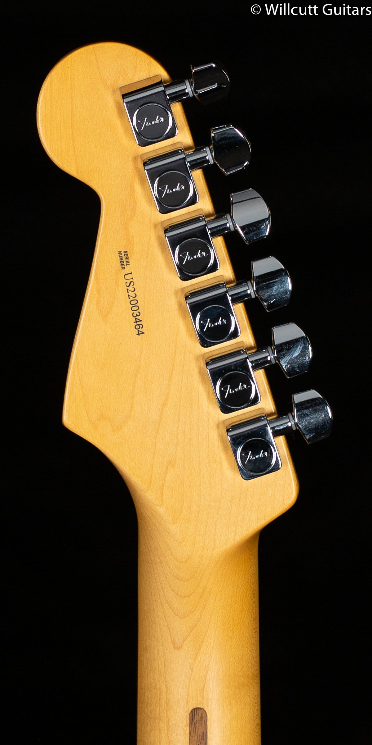 Fender American Professional II Stratocaster Roasted Pine Rosewood Fingerboard (464)