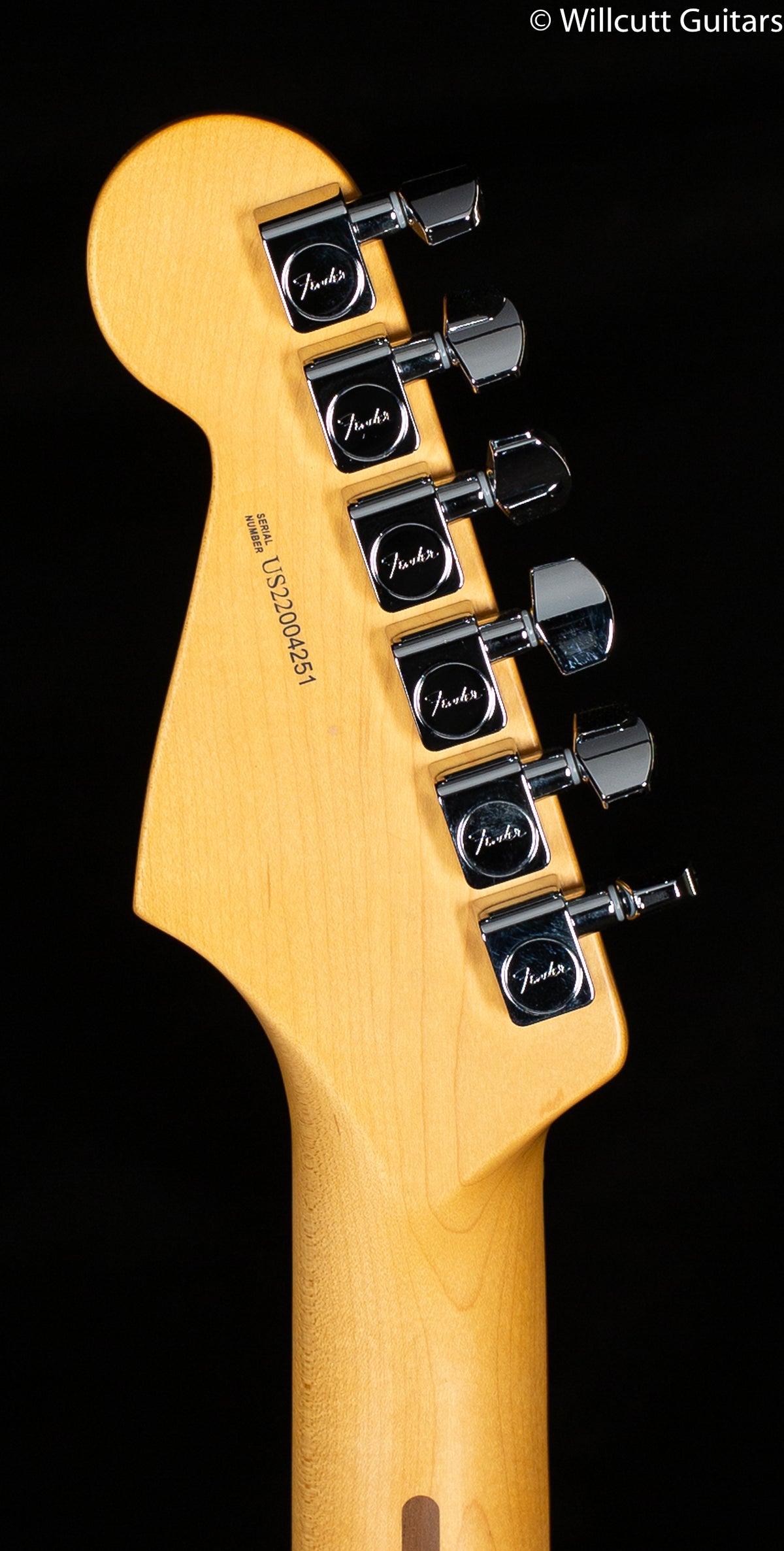 Fender American Professional II Stratocaster Roasted Pine Rosewood Fingerboard (251)