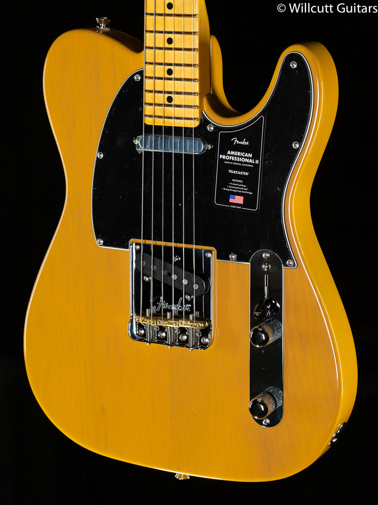 Fender Americanprofessional Ⅱ telecaster 0113960761_fen_ins_frt_1_rr.