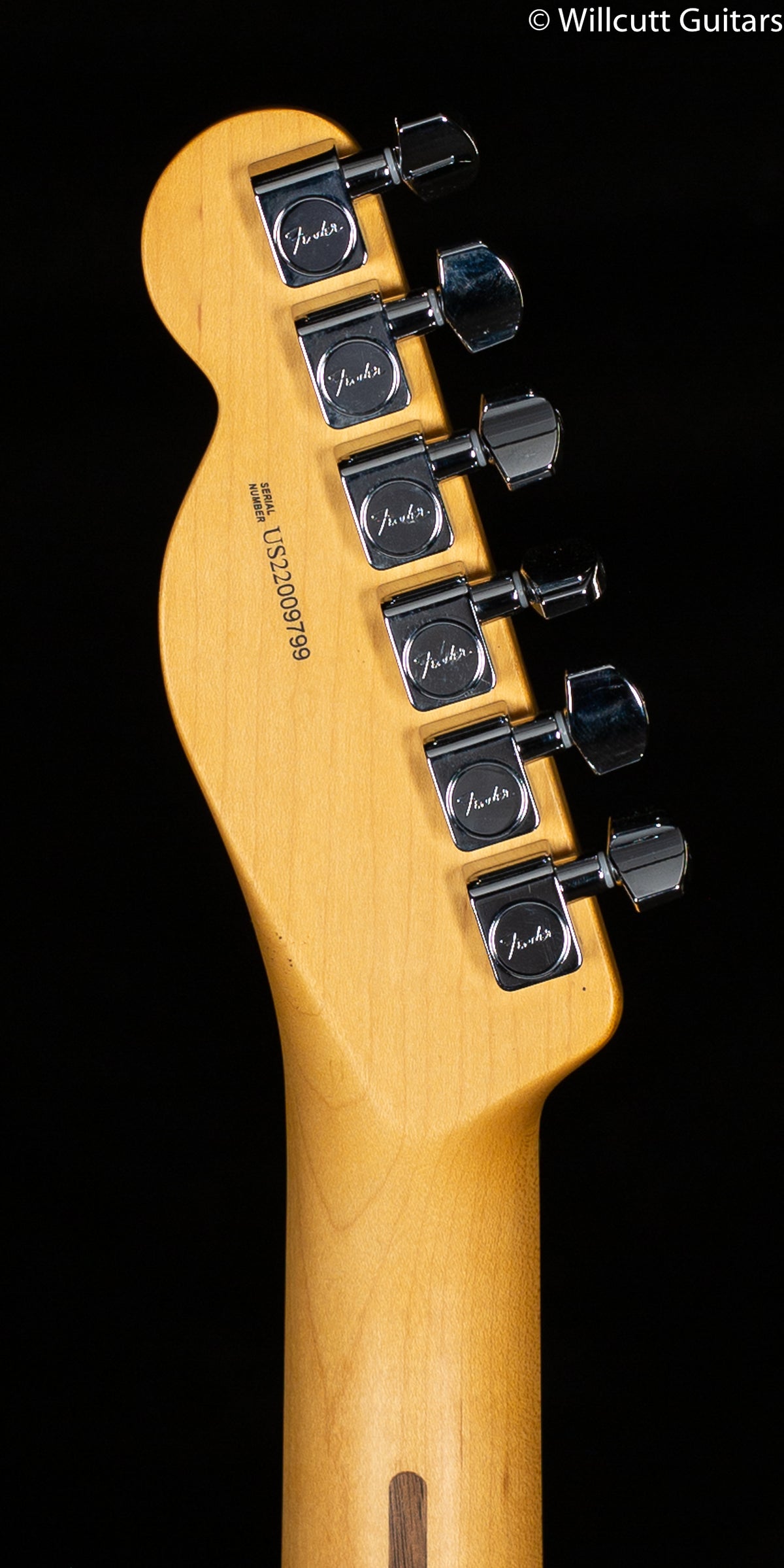 Fender American Professional II Telecaster Mercury Rosewood Fingerboard (799)