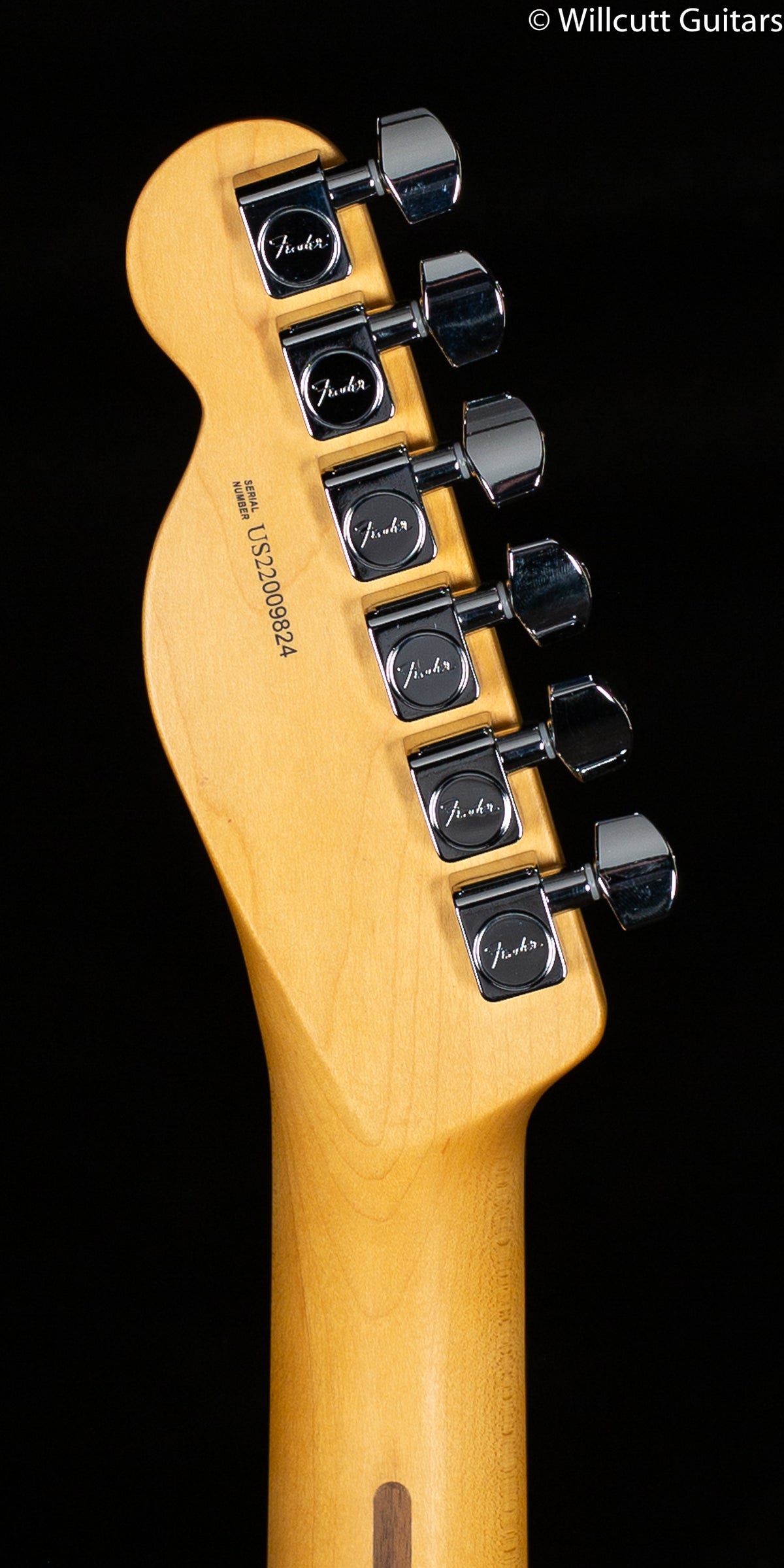 Fender American Professional II Telecaster Mercury Rosewood Fingerboard (824)