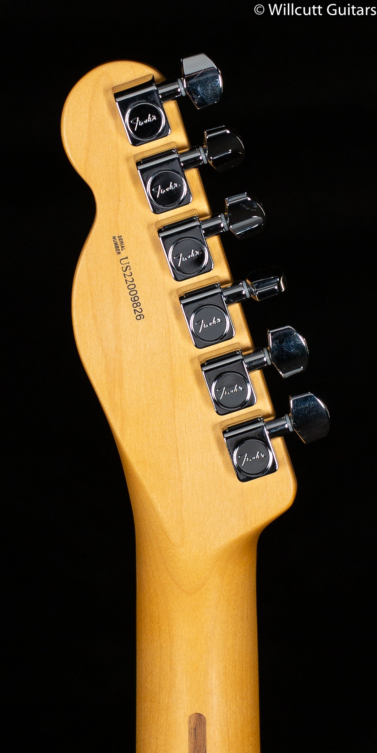 Fender American Professional II Telecaster Mercury Rosewood Fingerboard (826)