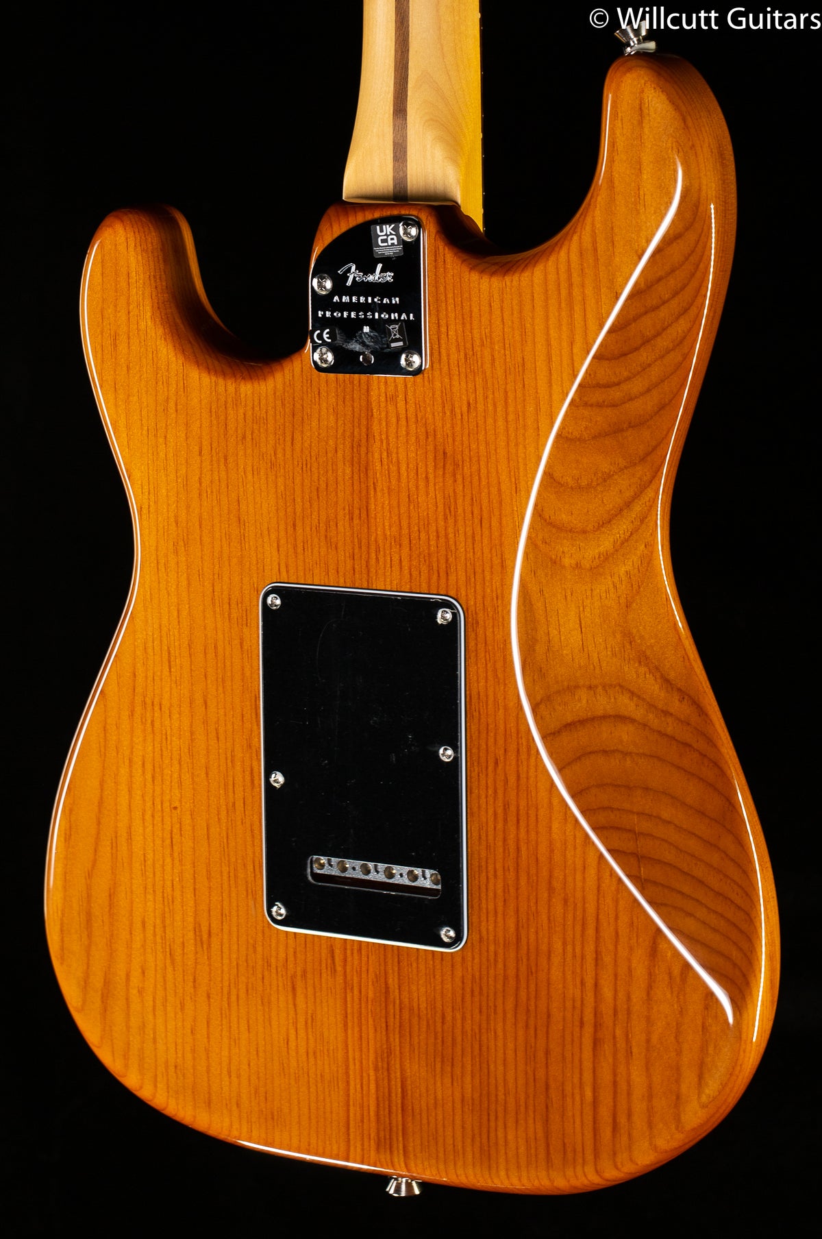 Fender American Professional II Stratocaster Roasted Pine Rosewood Fingerboard (479)