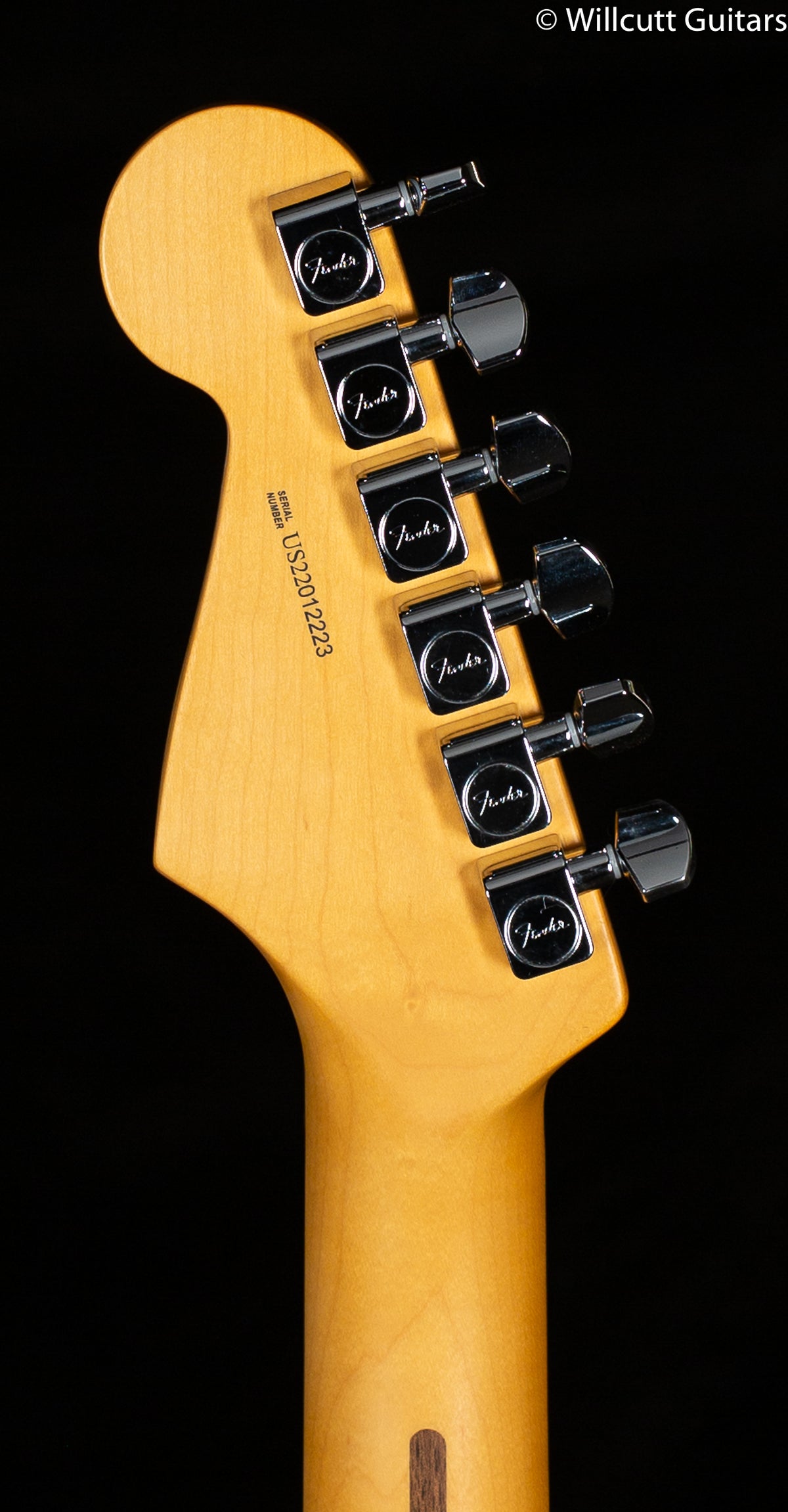 Fender American Professional II Stratocaster Roasted Pine Rosewood Fingerboard (223)