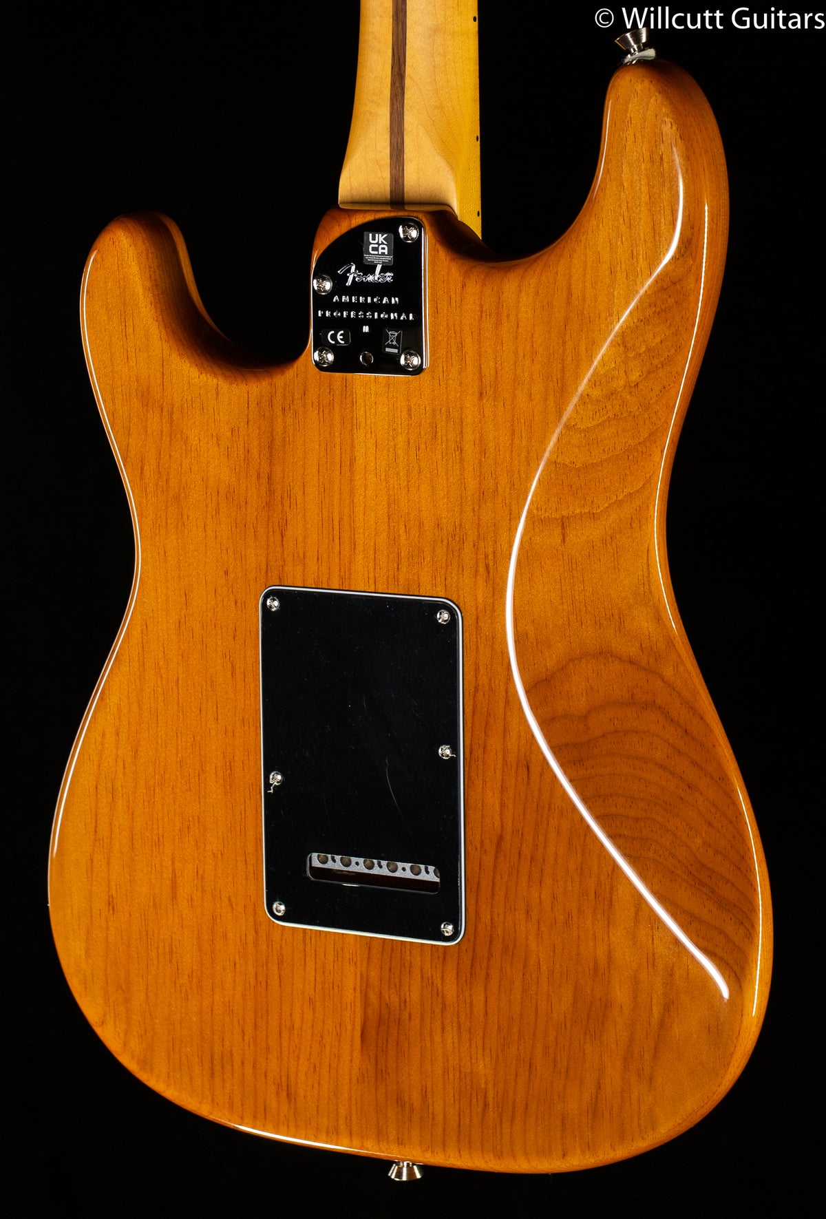 Fender American Professional II Stratocaster Roasted Pine Maple Fingerboard (613)