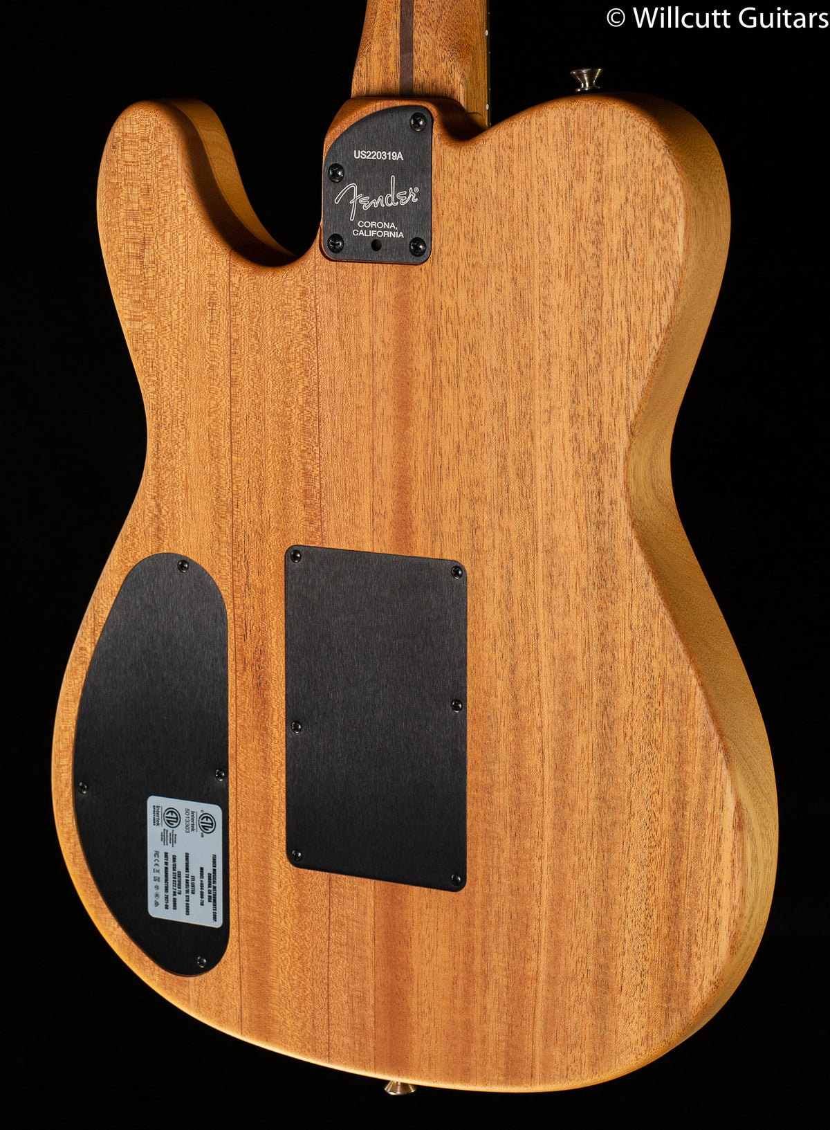 Fender American Acoustasonic Telecaster Pink Paisley (319)