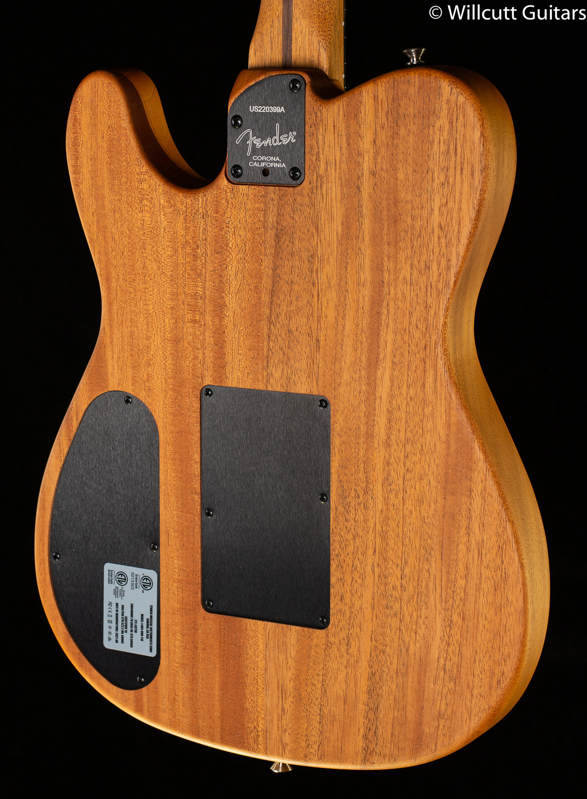 Fender American Acoustasonic Telecaster Pink Paisley (399)