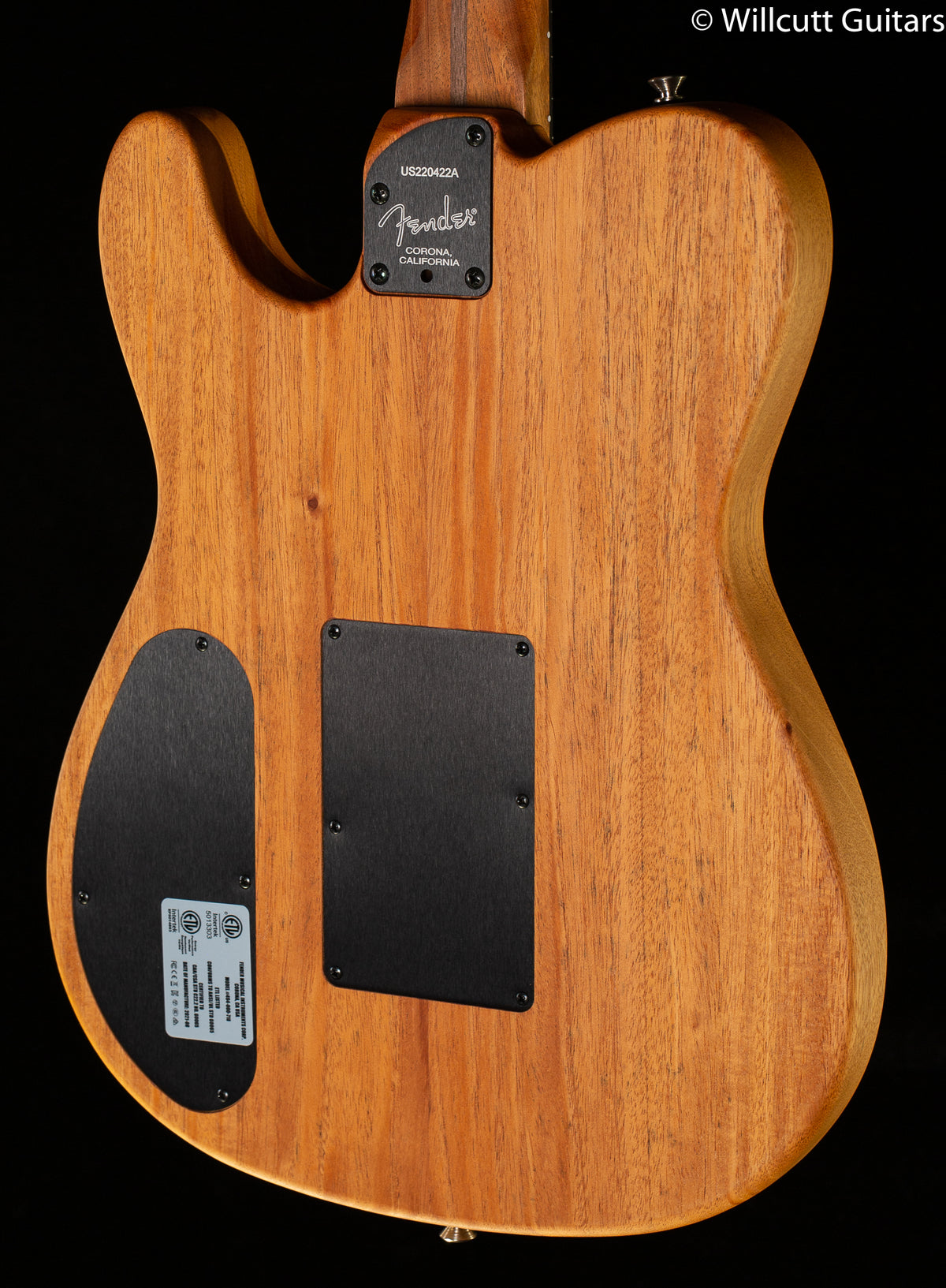 Fender American Acoustasonic Telecaster Pink Paisley (422)