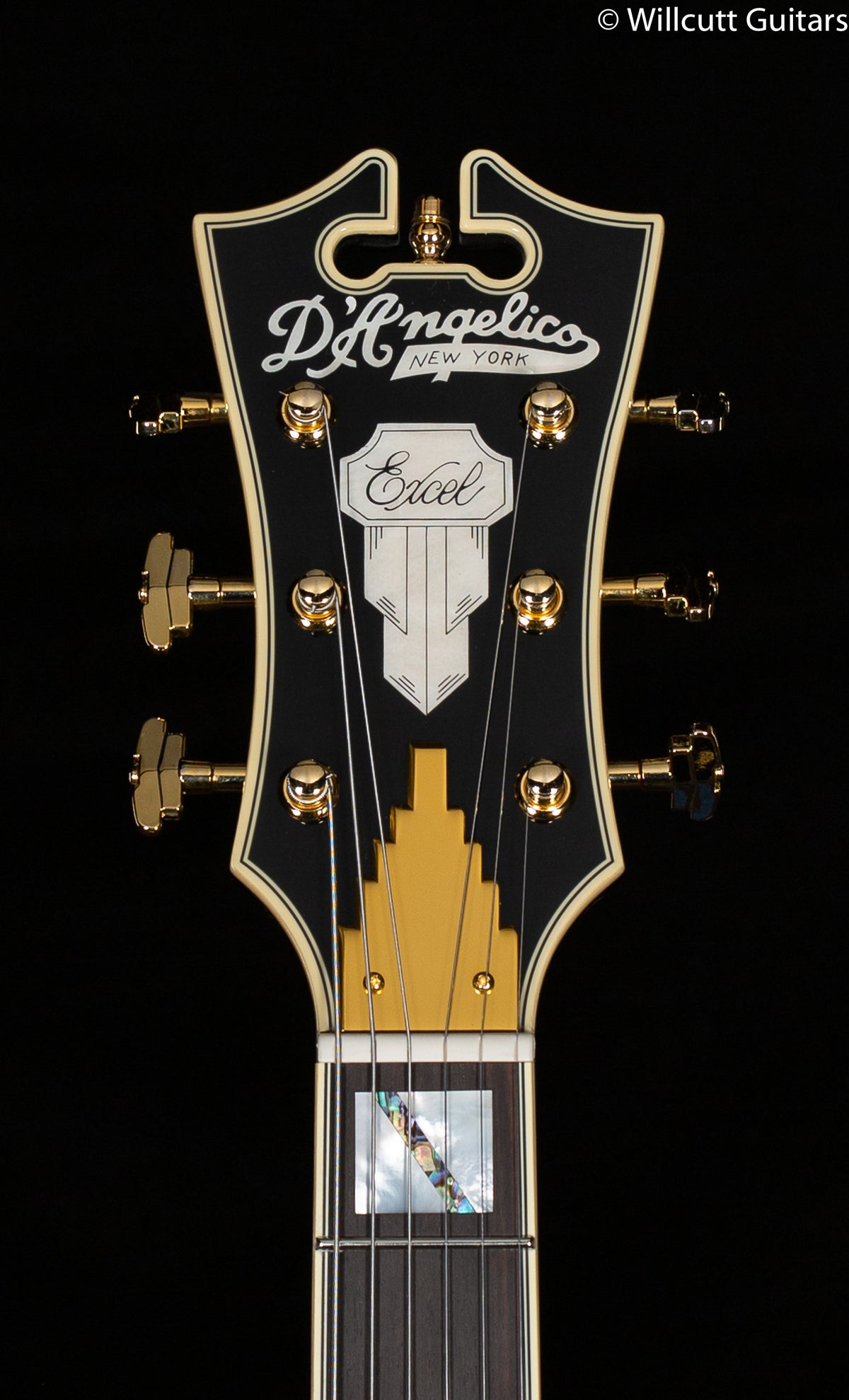D'Angelico Excel SS Black Dog (230)