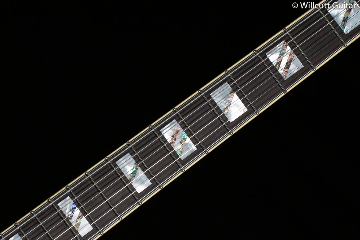 D'Angelico Excel SS Black Dog (230)