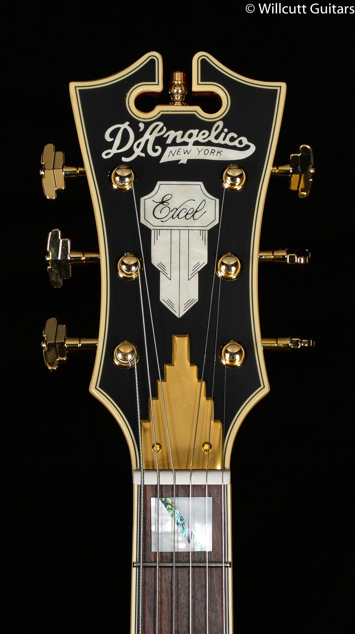 D&#39;Angelico Excel DC Viola (208)