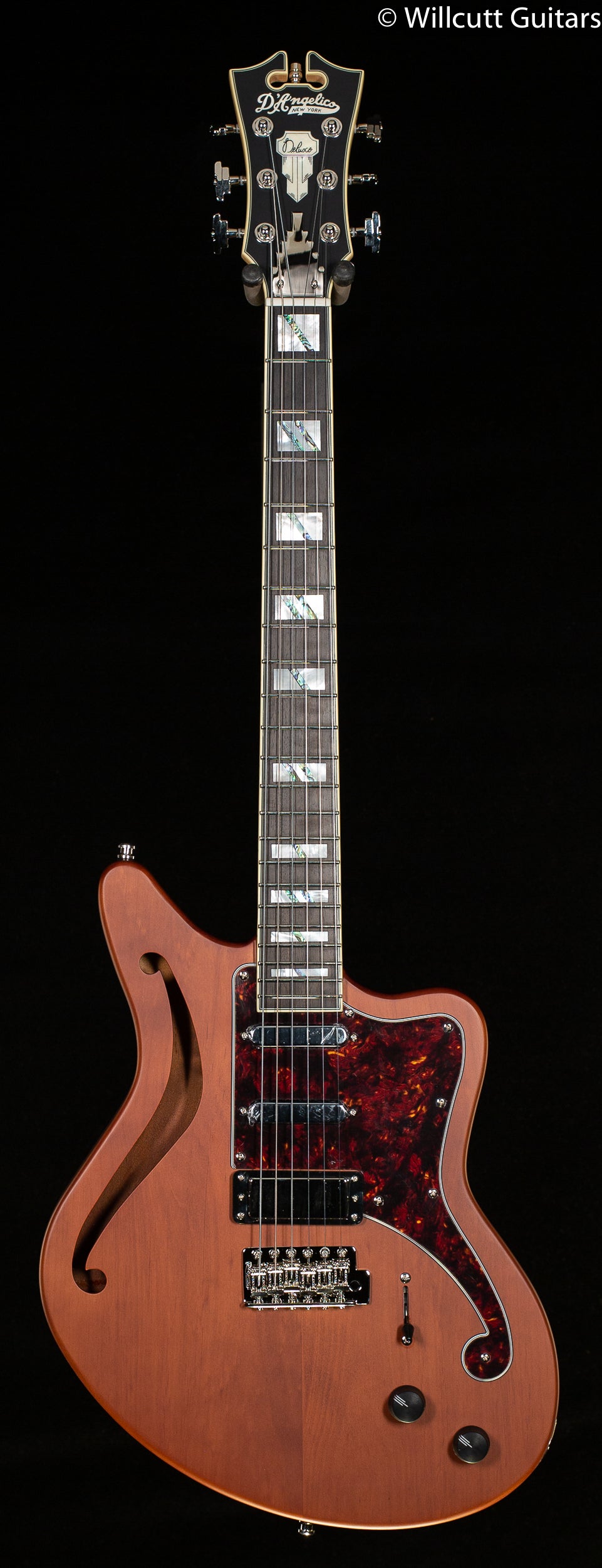 【限定価格セール！】 DELUXE D'Angelico BEDFORD Guitars Willcutt - WALNUT MATTE LE SH ギター