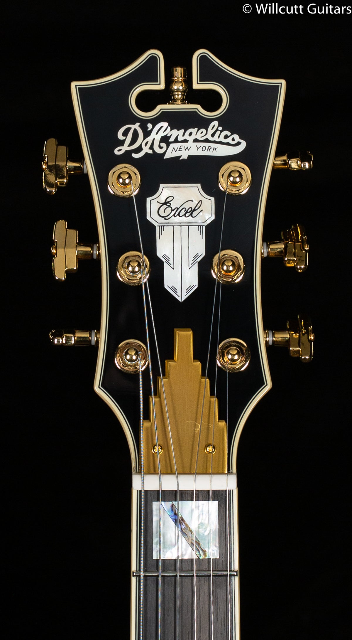 D'Angelico Excel Mini DC Black Dog (760)