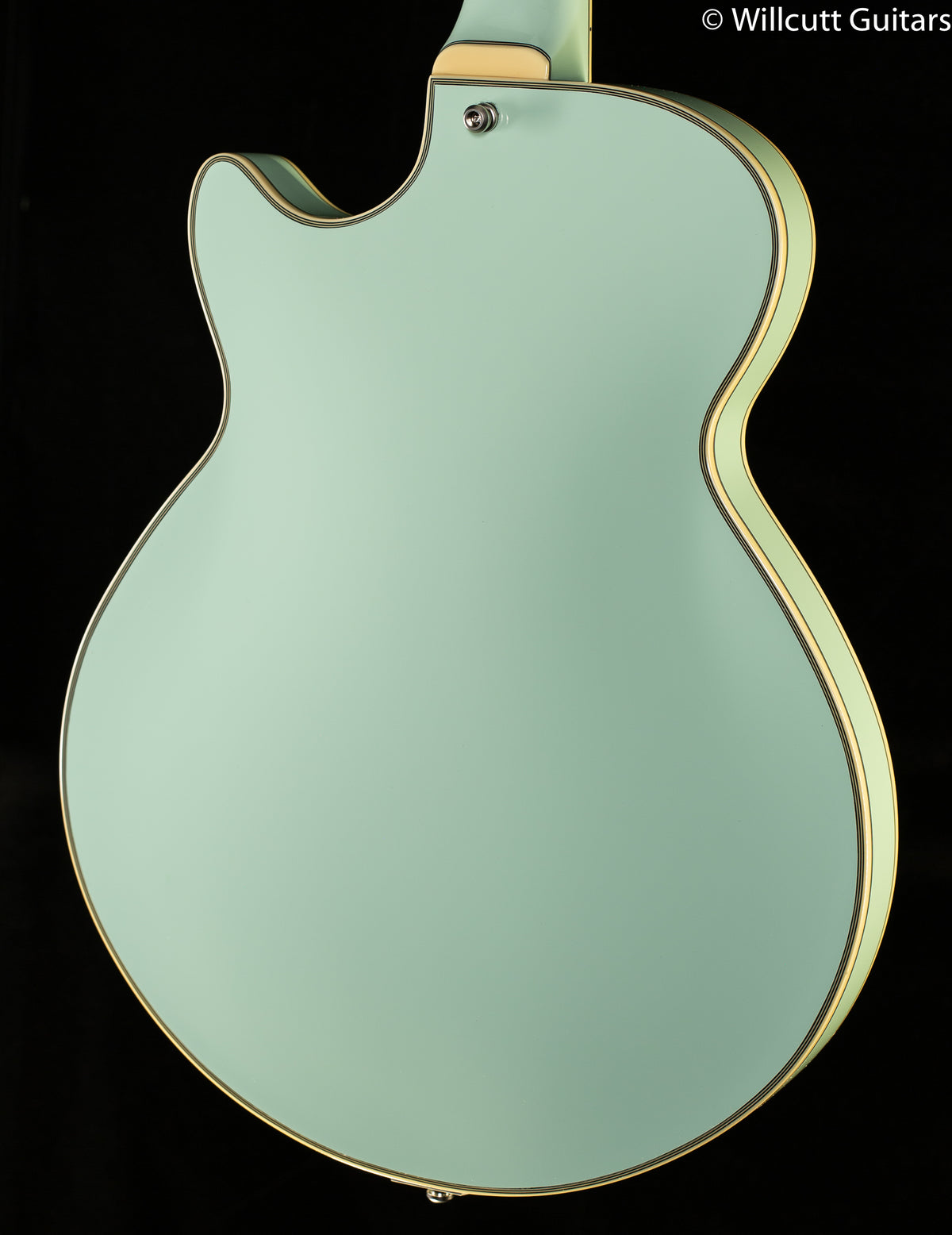 D&#39;Angelico Deluxe SS Limited Edition Sage