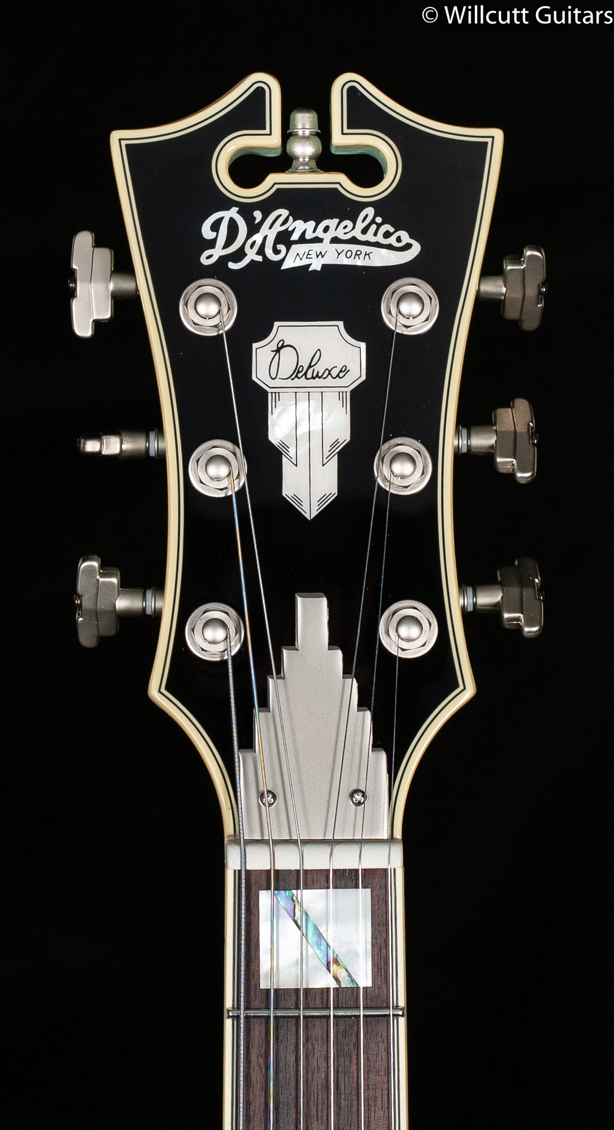 D&#39;Angelico Deluxe SS Limited Edition Sage