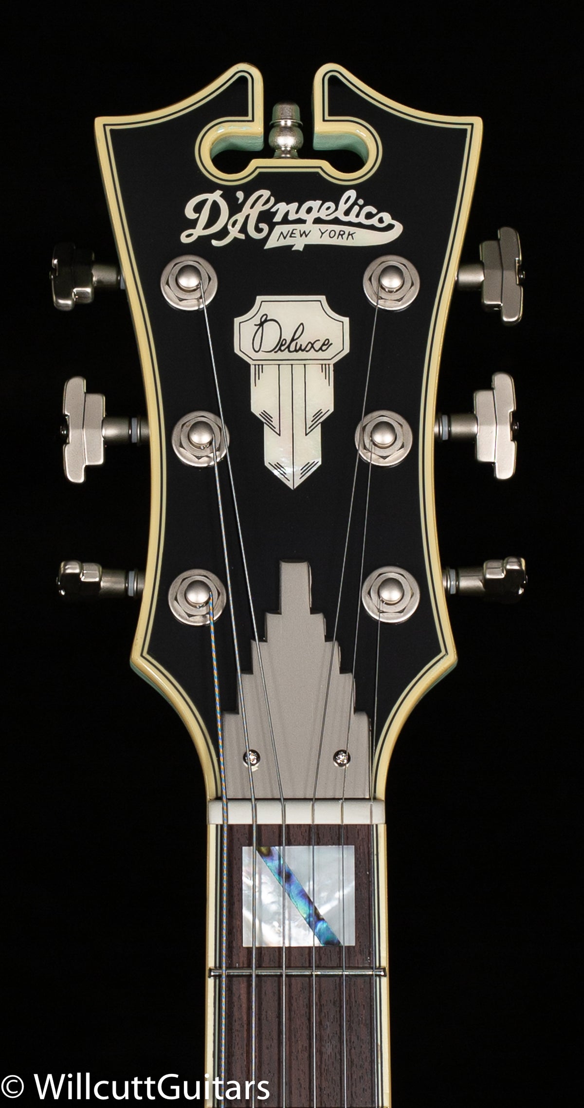 D&#39;Angelico Deluxe SS Limited Edition Sage (284)
