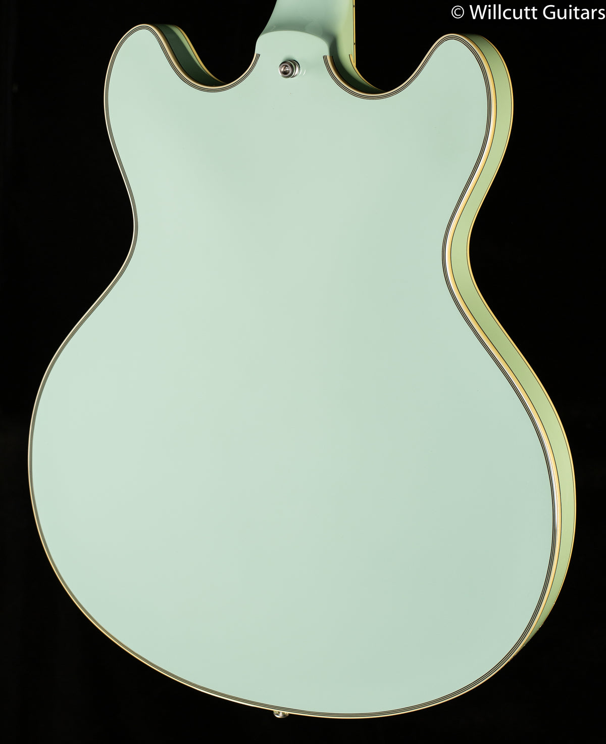 D'Angelico Deluxe Mini-DC LE Sage