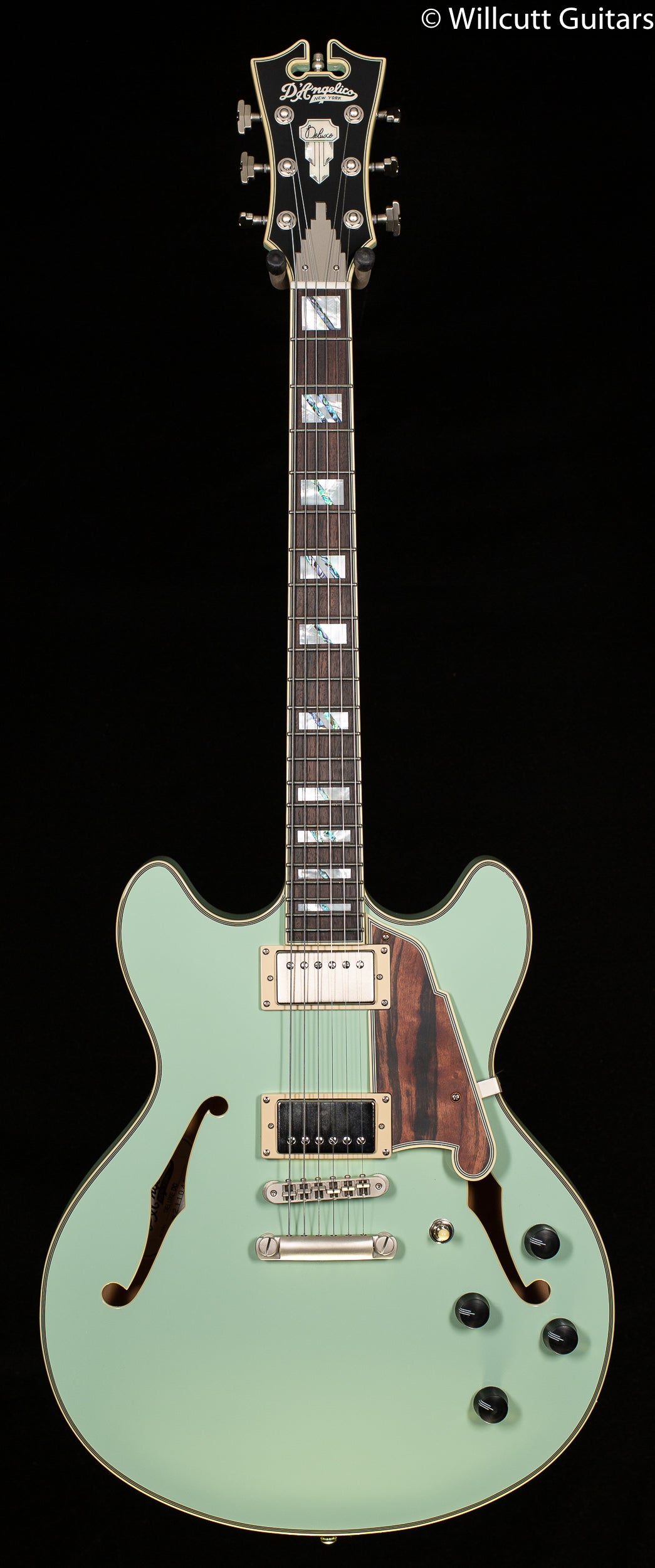 D&#39;Angelico Deluxe DC Limited Edition Sage