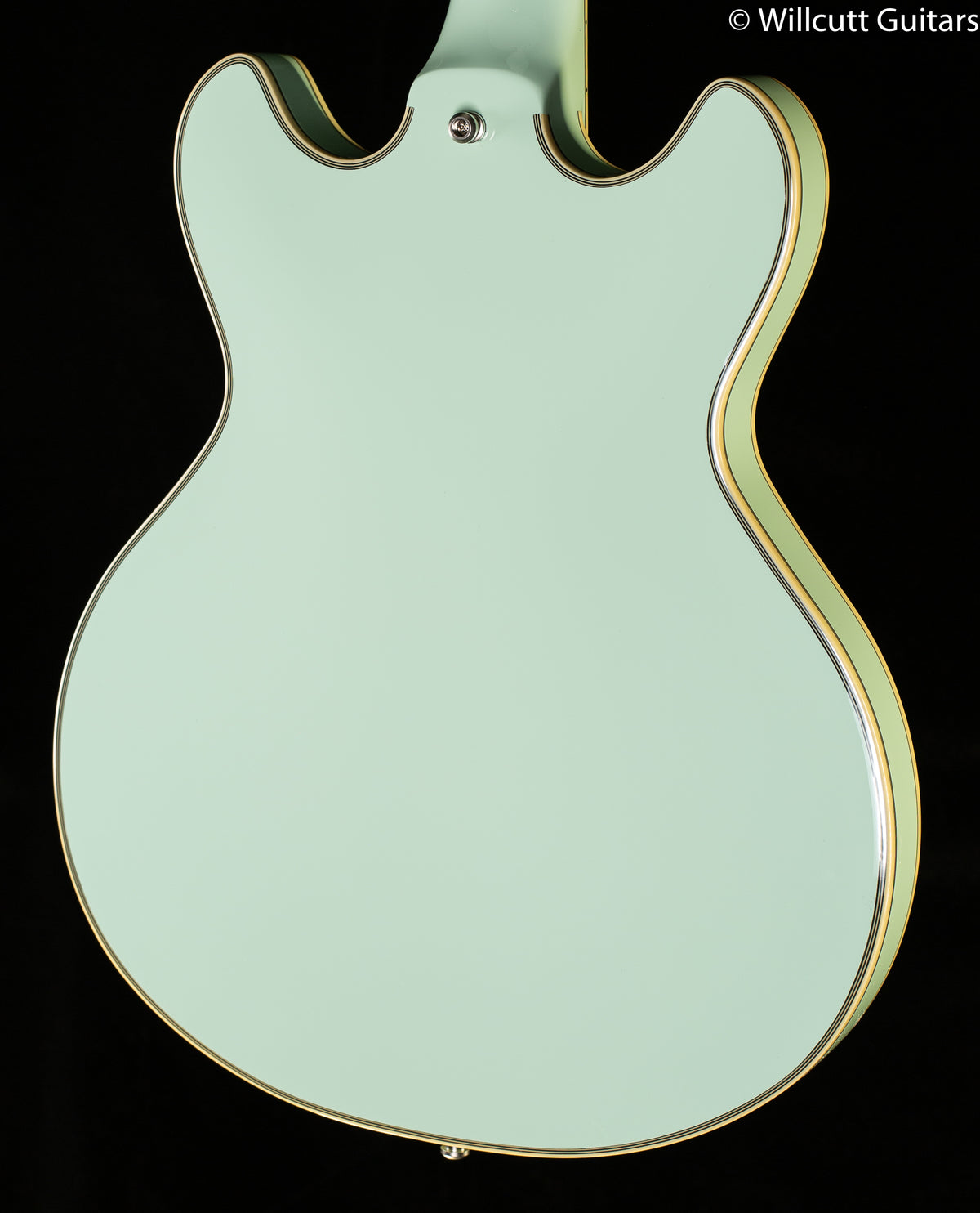 D&#39;Angelico Deluxe DC Limited Edition Sage