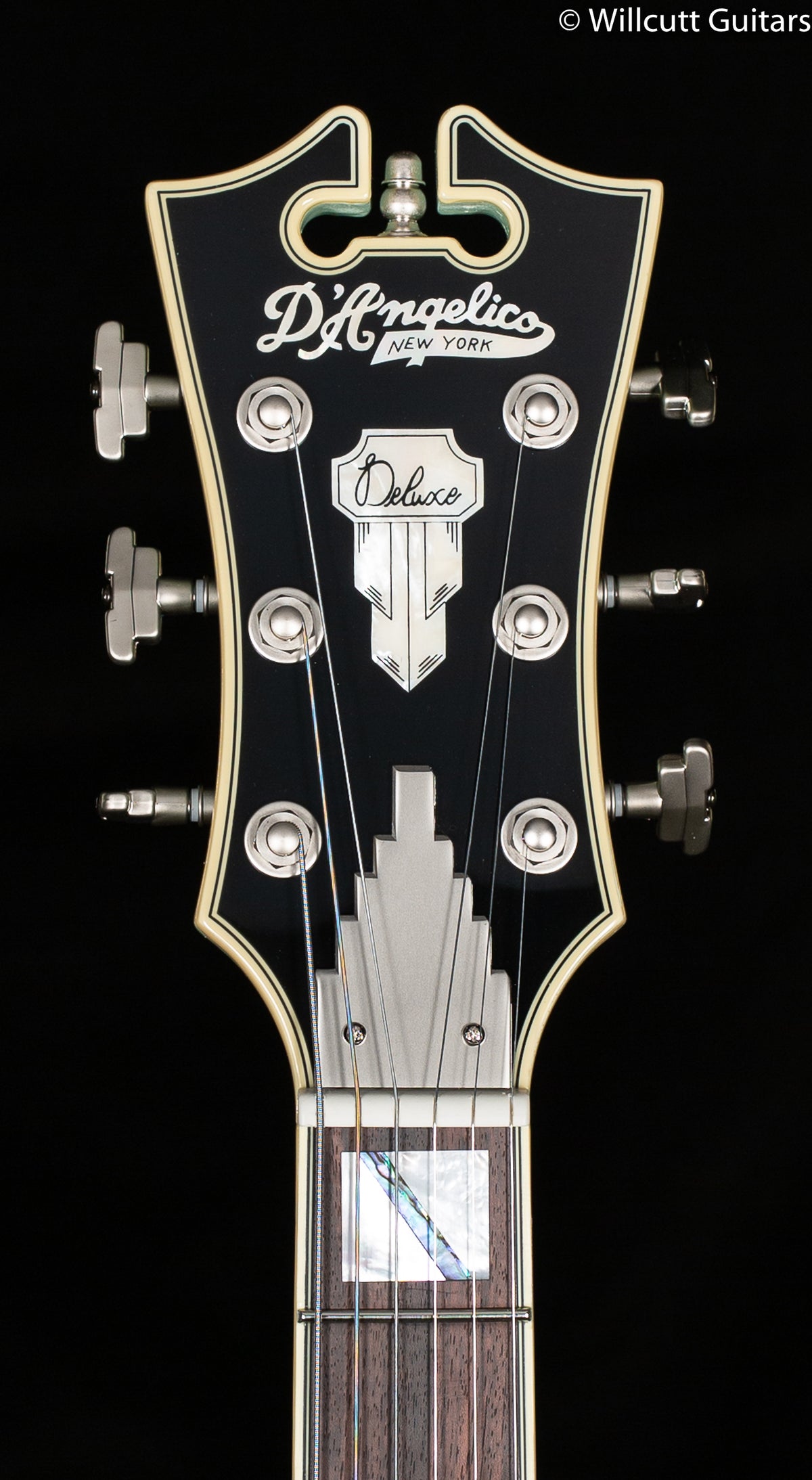 D&#39;Angelico Deluxe DC Limited Edition Sage
