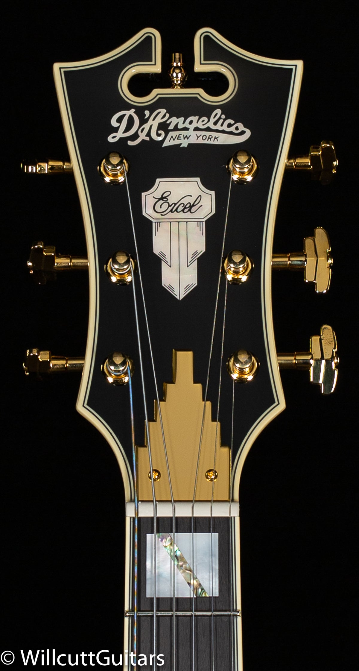 D&#39;Angelico Excel 59 Black Dog (536)