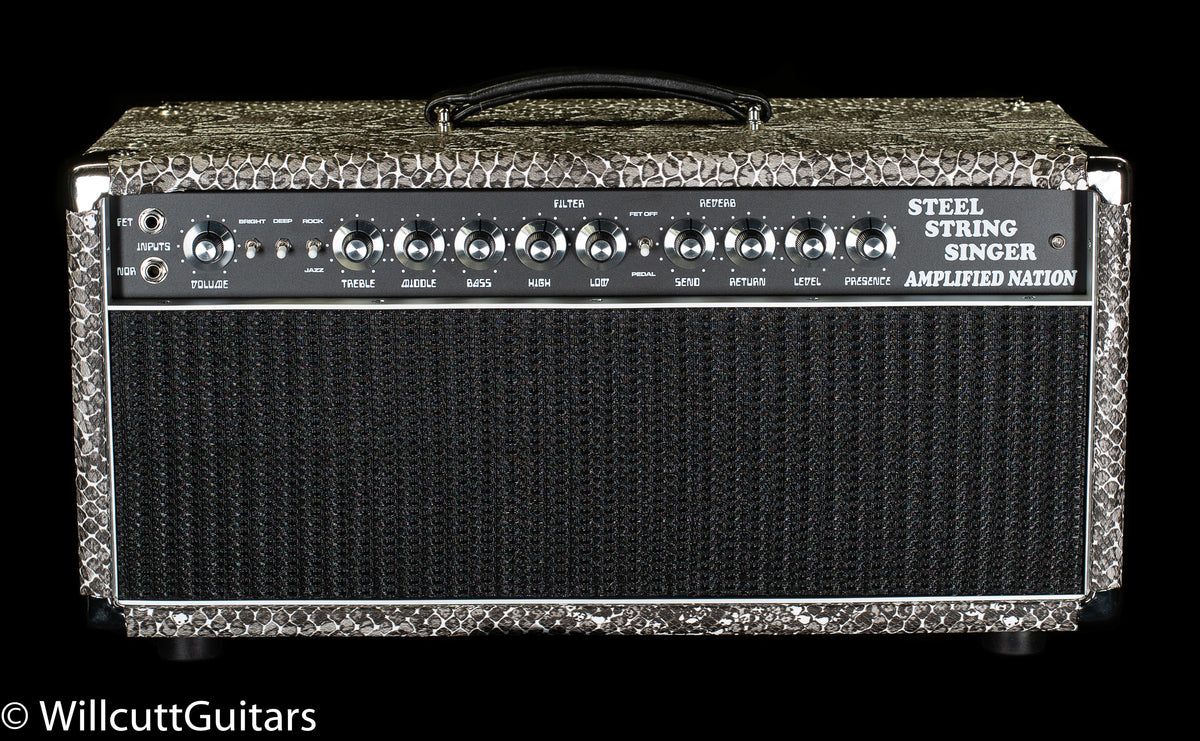Amplified Nation Steel String Singer 50W Head Silver Snakeskin/Black Grille