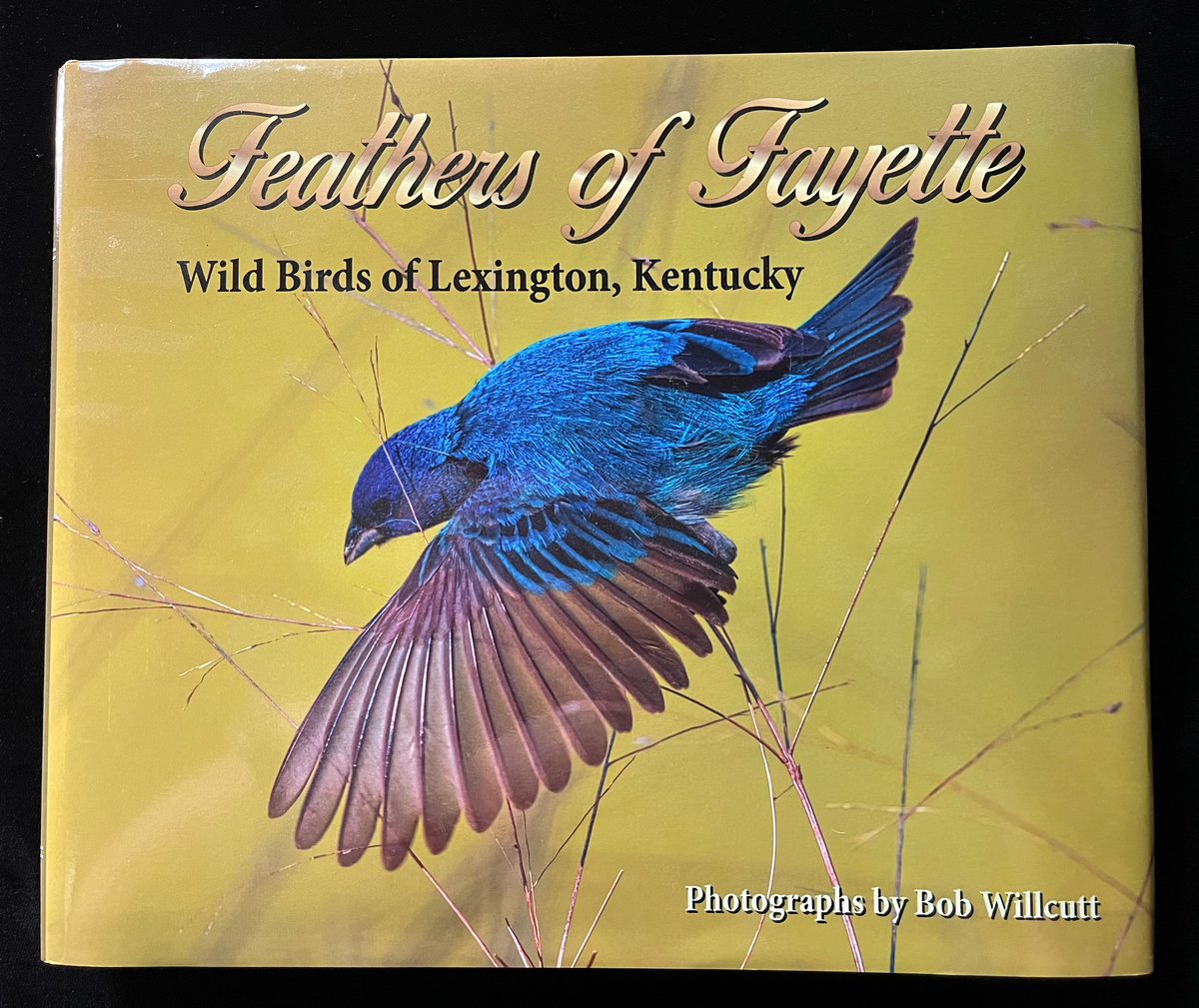 PRS Private Stock 8109 McCarty 594 Great Horned Owl