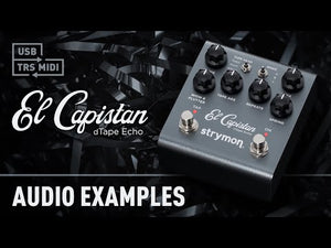 Strymon El Capistan Delay V2 - Willcutt Guitars