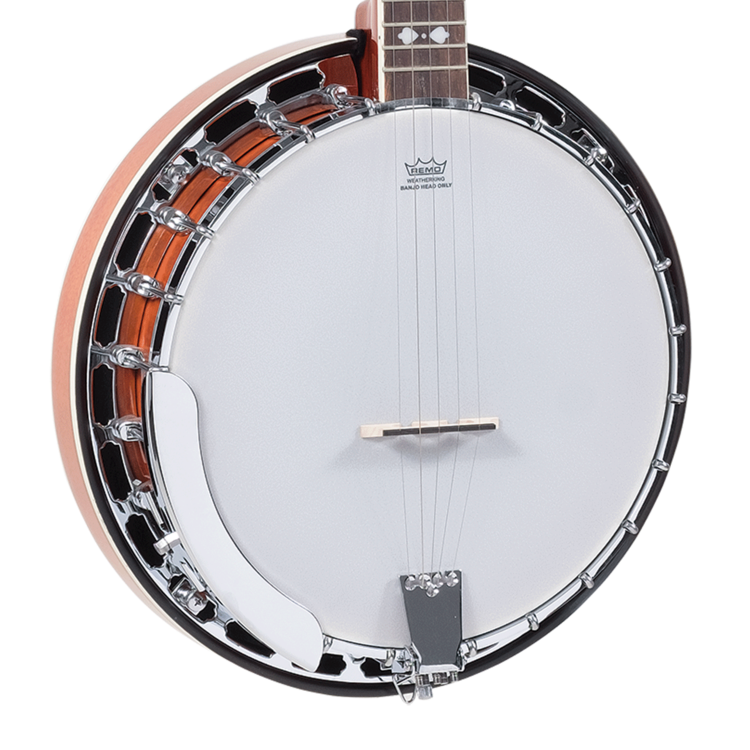 Recording King Songster Resonator Banjo