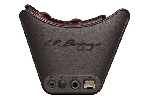 L. R. Baggs Session VTC